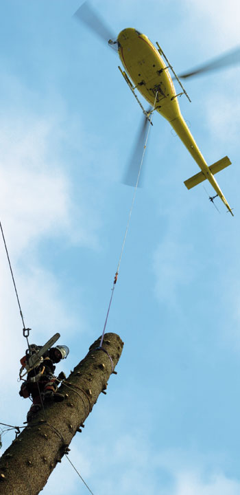 Helikopterfällung - Willkommen