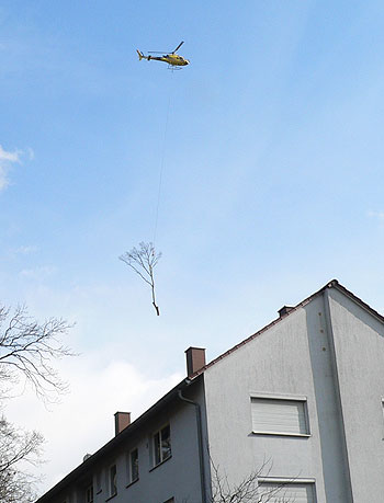Helikopterfällung - Einsatzbereiche 2