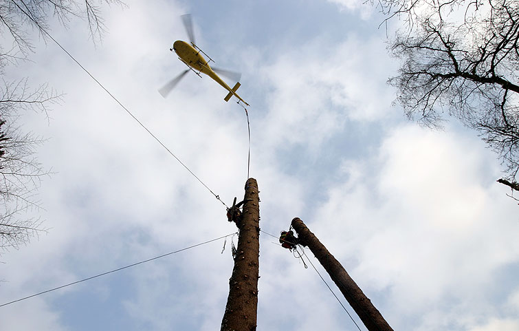 Helikopterfällung - Projekte