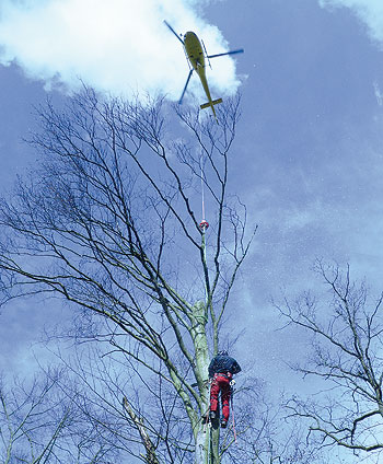 Helikopterfällung - Projekt: Helikopterfällung im Kochertal 5