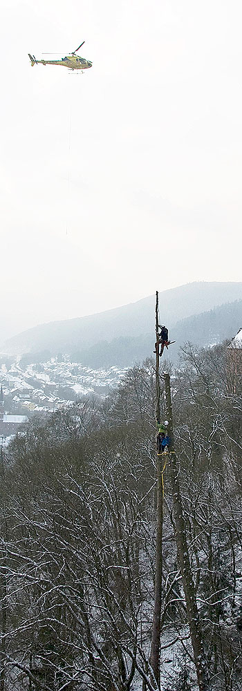 Helikopterfällung - Projekt: Helikopterfällung in Hirschhorn am Neckar